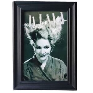 Clothes pins Vintage Beauty Woman's Hair Oddity Farmhouse Decor Shabby Chic Art